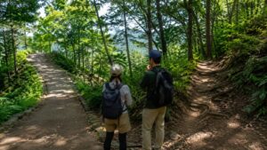 高尾山の舗装路と自然道の分岐でコースを選ぶハイカー